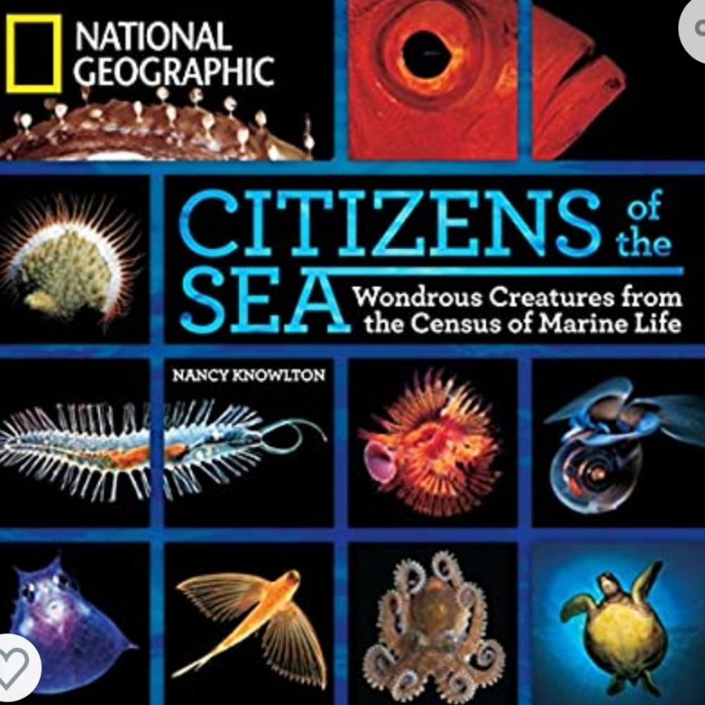 Citizens of the sea book